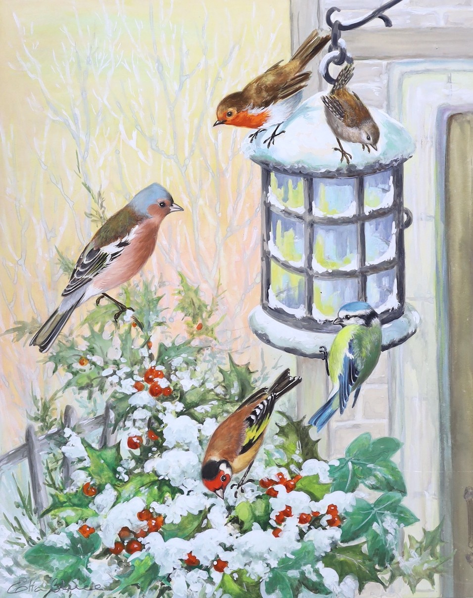 Ella Bruce, (20th century British), four watercolours on card, garden birds, signed, unframed, 23 x 18cm